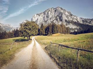 Ein malerischer Wanderweg durch alpine Landschaften in Österreich.